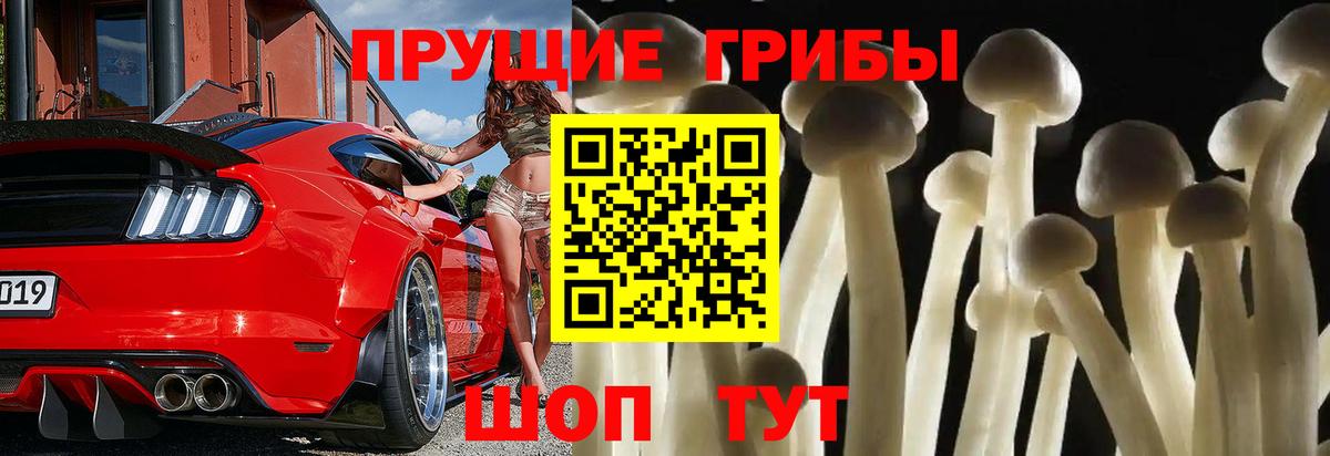 Калач-на-Дону  Галлюциногенные грибы Magic Shrooms  Вход с VPN 