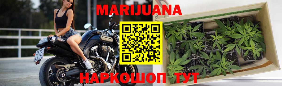 Шишки марихуана сатива  Вход с VPN  Бошки Шишки LSD WEED  Бошки марихуана конопля  МАРИХУАНА MAZAR  Калач-на-Дону 